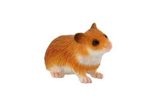 Picture of Hamster