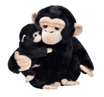 Imaginea Mama si Puiul - Cimpanzeu