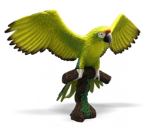 Imaginea Papagal Macaw