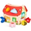 Poza cu Casuta Shape Sorter cu forme
