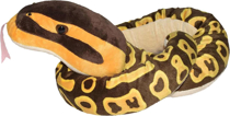 Imaginea Sarpe BALL PYTHON