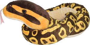 Picture of Sarpe BALL PYTHON