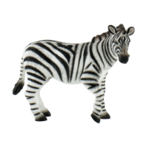 Poza cu Zebra