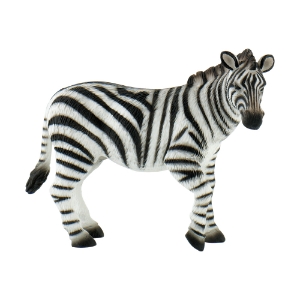 Poza cu Zebra