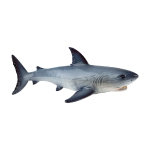 Poza cu Marele Rechin Alb